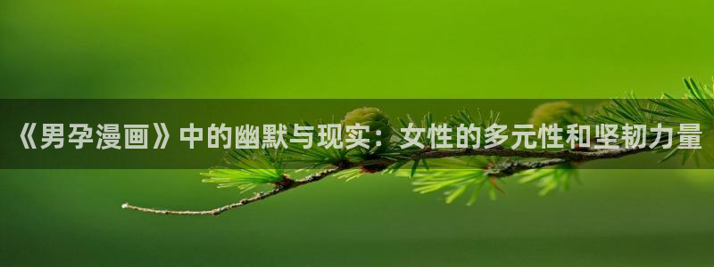 耽耽漫网：《男孕漫画》中的幽默与现实：女性的多元性和坚韧力量