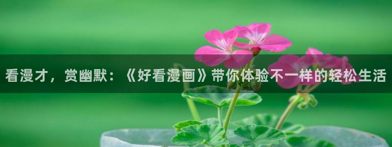 耽漫网之家：看漫才，赏幽默：《好看漫画》带你体验不一样的轻松生活