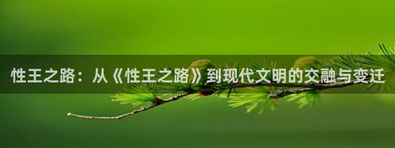 耽漫网官网：性王之路：从《性王之路》到现代文明的交融与变迁